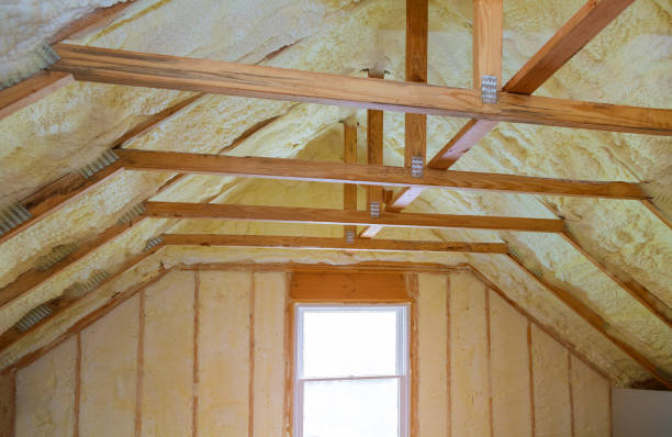 Professional Insulation Contractor in Locust Fork, AL