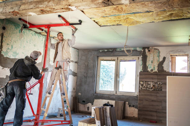 Best Specialized Insulation Services in Locust Fork, AL